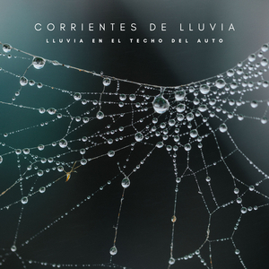 Música Para Dormir 8 Horas