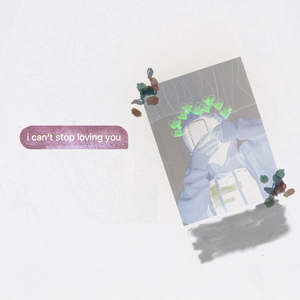 can't stop loving you