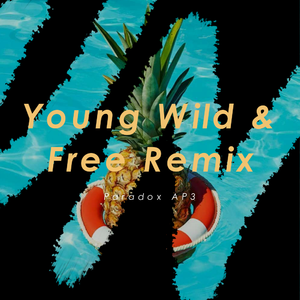 Ultimate Party Jams-Young wild and free（Paradox AP3 remix）