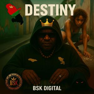 DESTINY (feat. BSK)