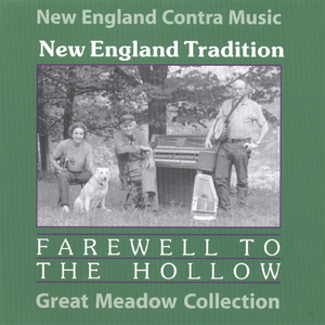 Teetotaler's/ Green Fields of America/ Swinging' On a Gate