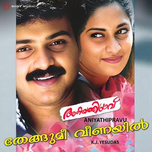 Thengumee Veenayil