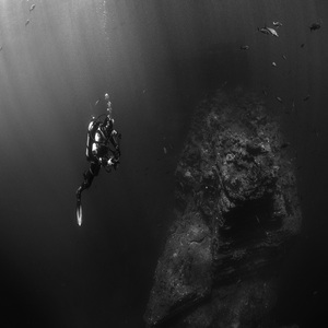 Dark Ocean