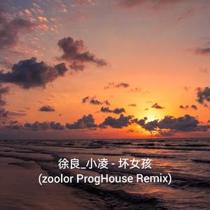 徐良-坏女孩（zoolor remix）