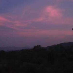 阿桑-一直很安静说唱版（你的老王 remix）