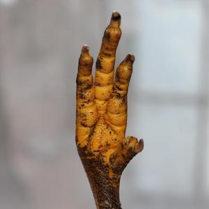 Трать бабло