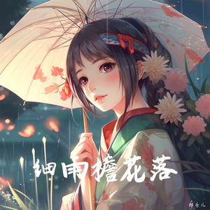 细雨檐花落（DJ弹鼓版）超声波版