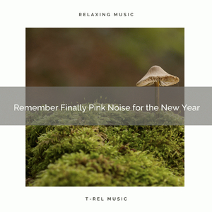 Gain the Peace with Relaxing, Looped Noise and Relax