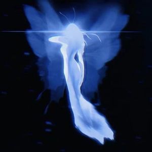 循迹(女版翻一只白羊）