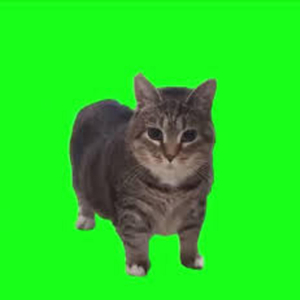 Oiiaoiia (Another Remix)