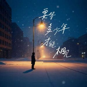 我看过漫天的雪