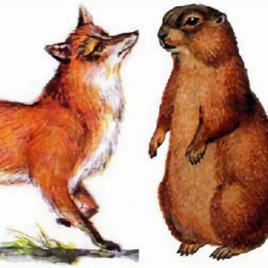 Лисица и Сурок. Крылов И.А.