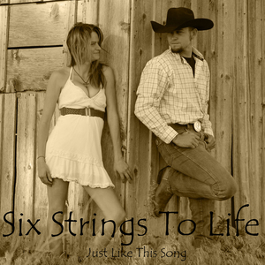 Just Like This Song (feat. Six Strings To Life & Tyler Stanger)