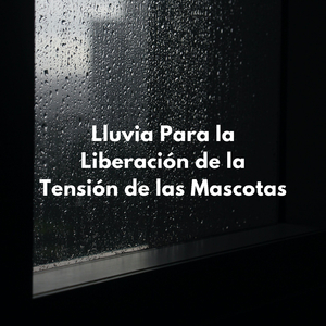 La Salpicadura De Lluvia De Mañana