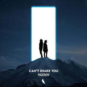 Can't Shake You