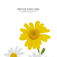 네 꿈을 펼쳐봐