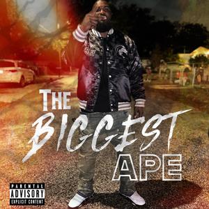 Ape Of Wall Street