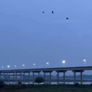 第一眼就爱上的人，怎么甘心做朋友