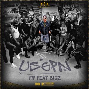 USGPN (Wesh Ti Fake)