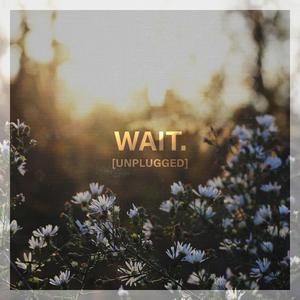 Wait. (Acoustic) (Acoustic)