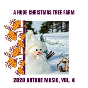 Chirping Birds at Dawn