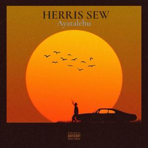 ሀሪስ ሰው - ayatalehu (አያታለሁ) (ethiopian music)