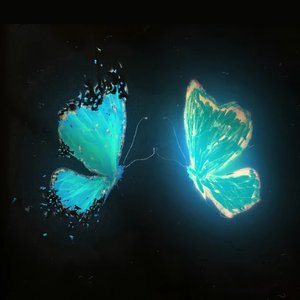 我的完美这一生是为了什么