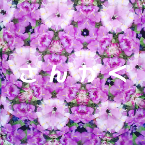 白い帽子