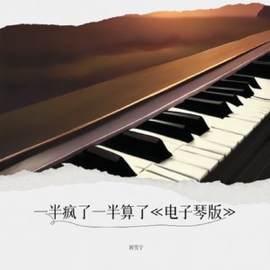 一半疯了一半算了《电子琴版》