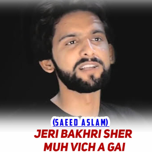 Jeri Bakhri Sher De Muh Vich A Gai (1)