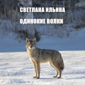 Одинокие волки