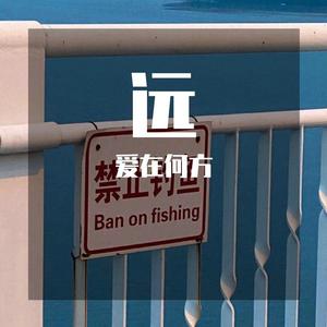 银辉