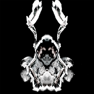 Lament (Wona Revision)