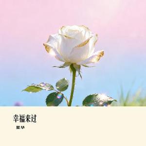 恨幸福来过 (Remix)