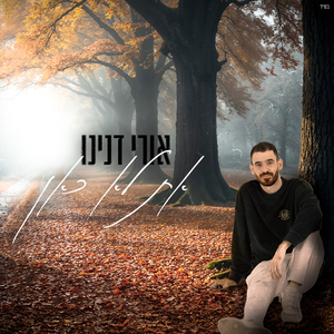 את לא כאן