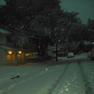 Snowy Nostalgia
