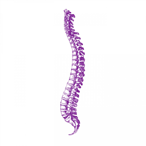 Not Of This Reality (Original Mix)