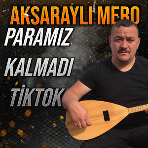 Paramız Kalmadı (Tiktok)