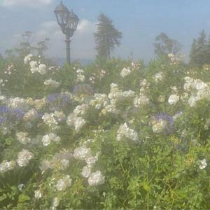 ЛАВ (prod. by lilnasty)