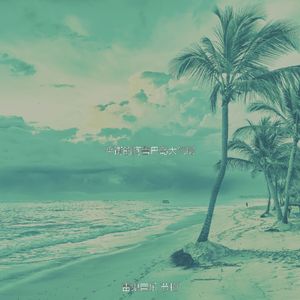 一尘不染开曼群岛印象数