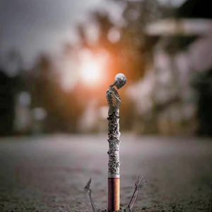 MY BOY (Prod. 房间里的大象)