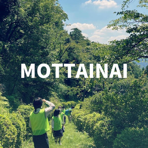 MOTTAINAI