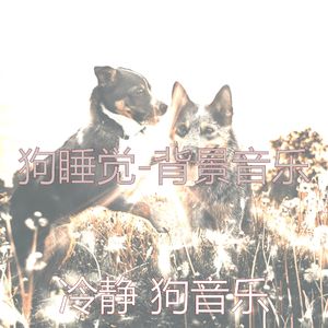 好玩的(宠物午睡)