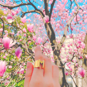 SakuLove