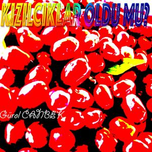 Kızılcıklar Oldu Mu