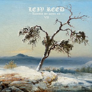 Nattestid ser porten vid VII