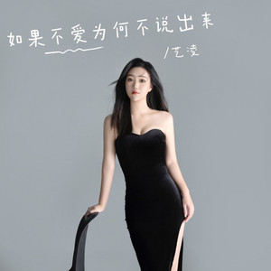 如果不爱为何不说出来