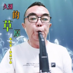 久别的草原 (Remix)