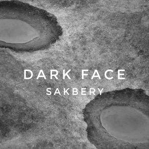 Dark Face