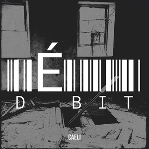 Débit